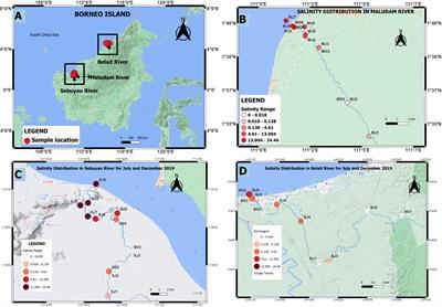 The distribution and behaviour of Fe, Al, Si, Mn, Cu and Ni in ombrotrophic tropical peat draining blackwater estuaries on Borneo Island